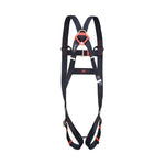 SPARTAN™ 2-POINT HARNESS