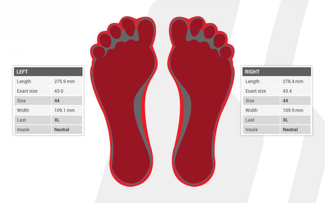 Identifies The Individual Features of Every Foot