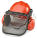 forestry helmet with face visor and ear muffs