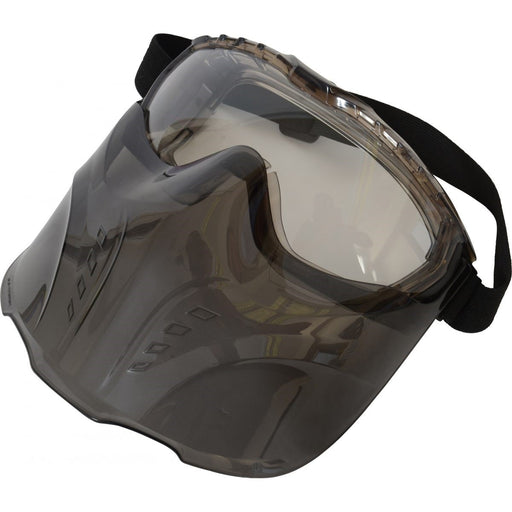 safety goggle with nose & mouth guard