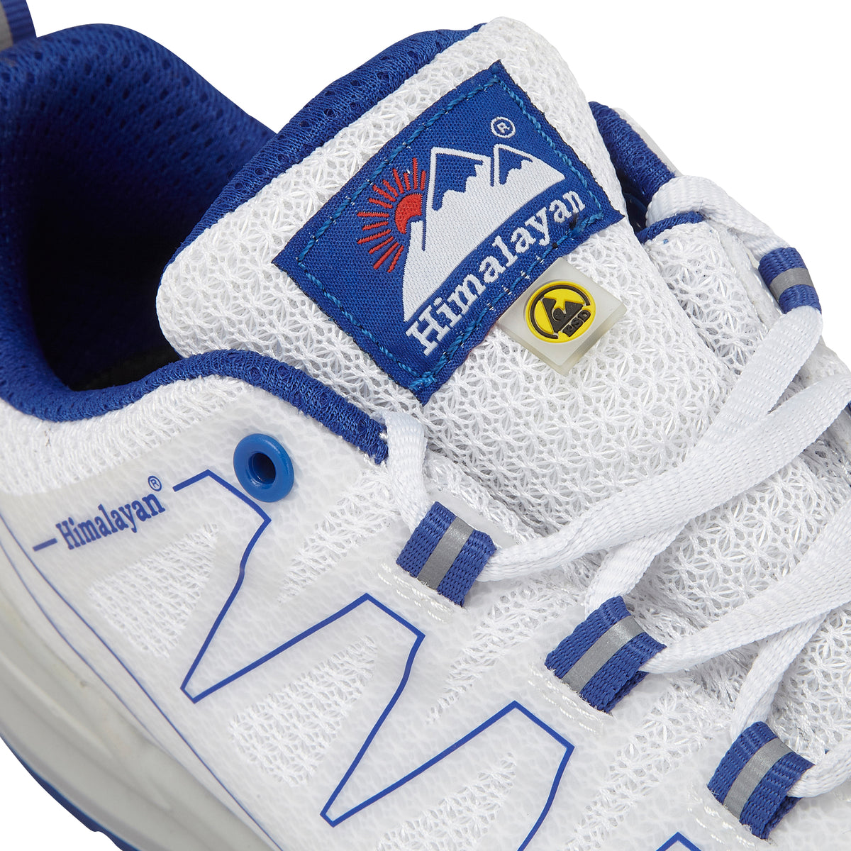 size 16 esd safety trainer